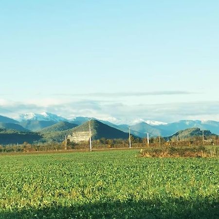 T3 Au Pied Des Pyrenees Lejlighed Pointis-de-Riviere Eksteriør billede